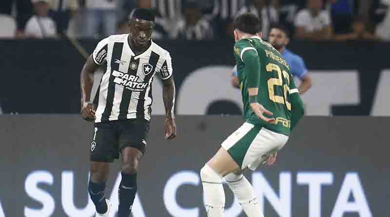 Botafogo recebe Palmeiras no primeiro jogo das oitavas da Libertadores