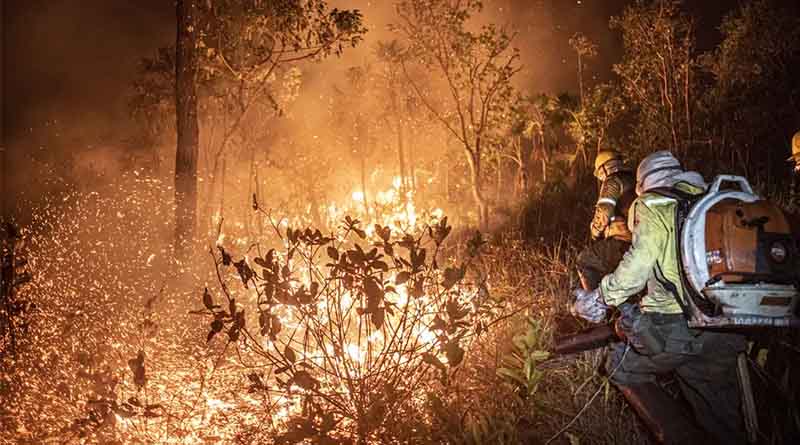 Incêndios e seca na Amazônia e no Pantanal batem marcas históricas