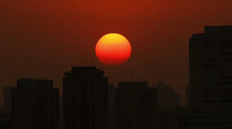 Mudanças climáticas agravam insegurança alimentar, diz pesquisadora