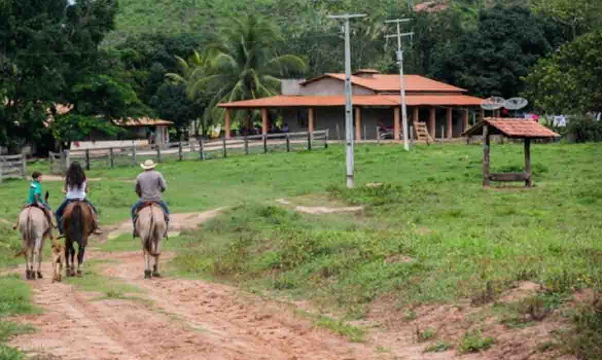 Imunidade tributária para holding.